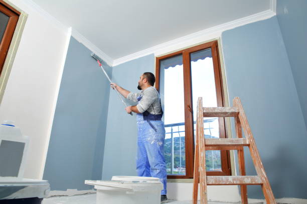 Best Black Mold Removal  in Los Ranchos De Albuquerque, NM