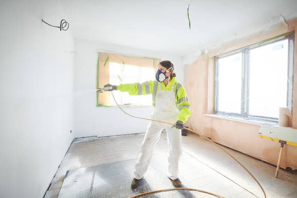 Biohazard Mold Removal in Los Ranchos De Albuquerque, NM