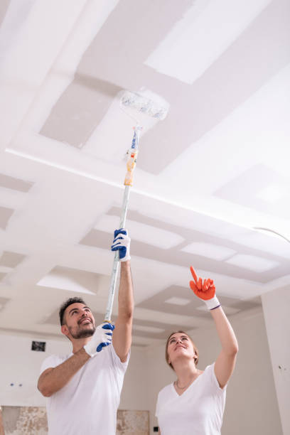 Best Mold Damage Restoration  in Los Ranchos De Albuquerque, NM