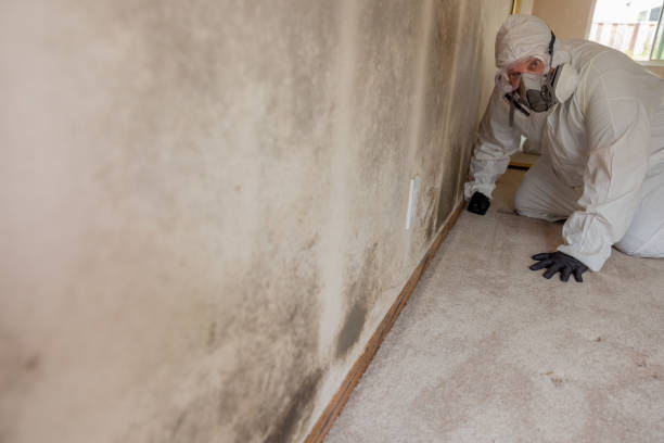 Best Comprehensive Air Testing for Mold Contaminants  in Los Ranchos De Albuquerque, NM